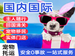 湿地机场托运国际宠物托运 【国